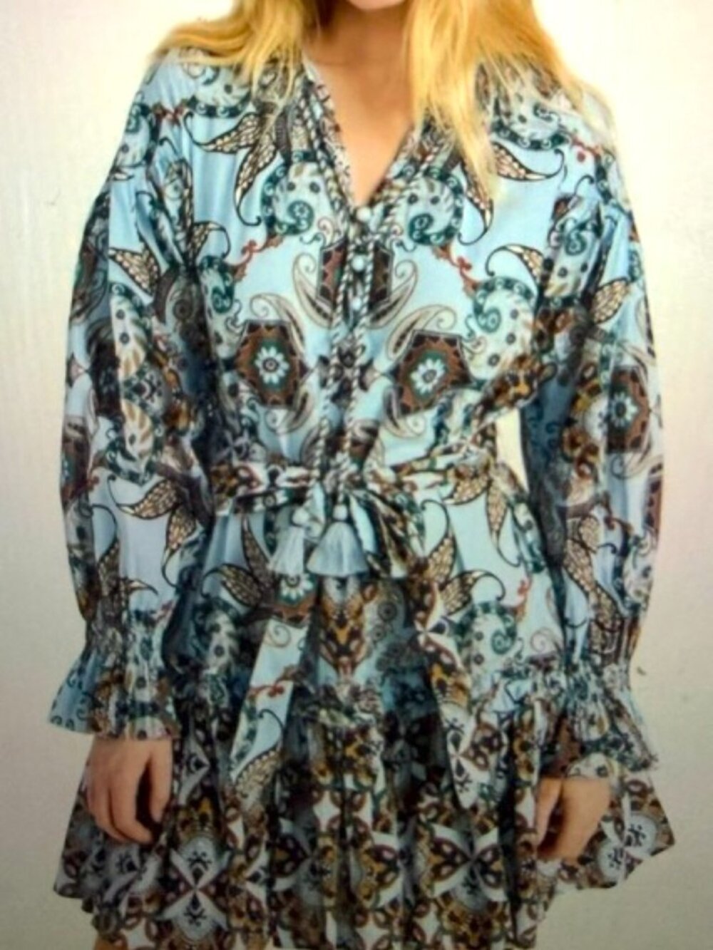 Cara Cara Blue, Brown and Red Paisley Dress for Fall